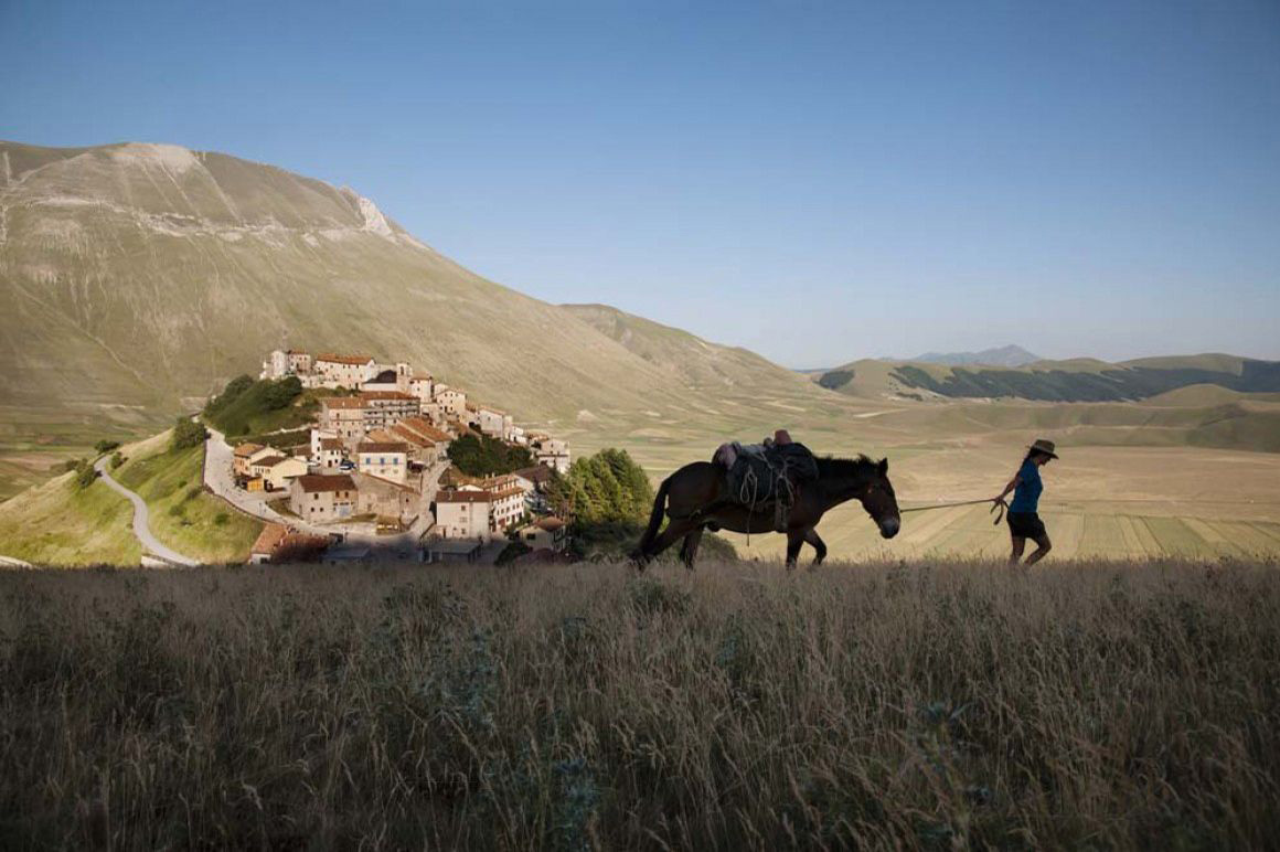 Un'avventura a dorso d'asino